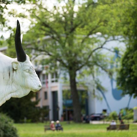 Villa Regina Bad Freienwalde Bagian luar foto