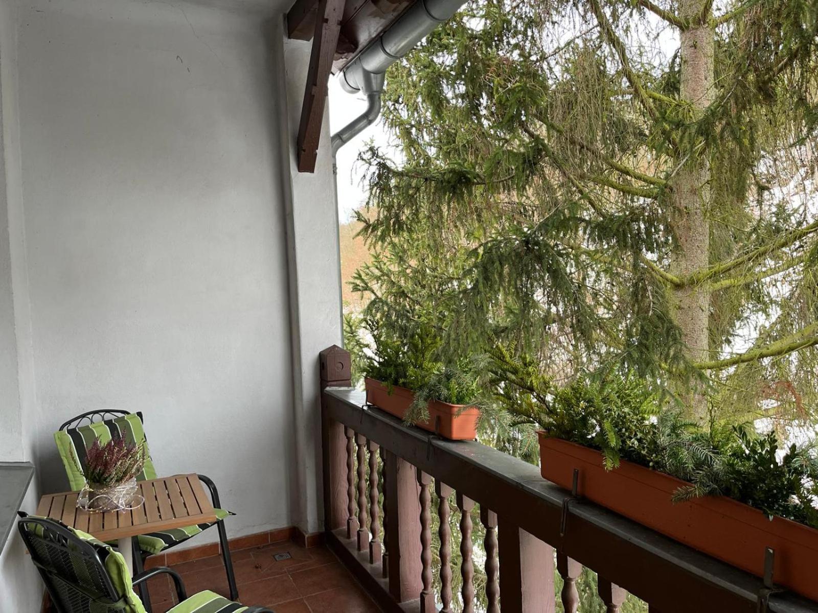 Villa Regina Bad Freienwalde Bagian luar foto