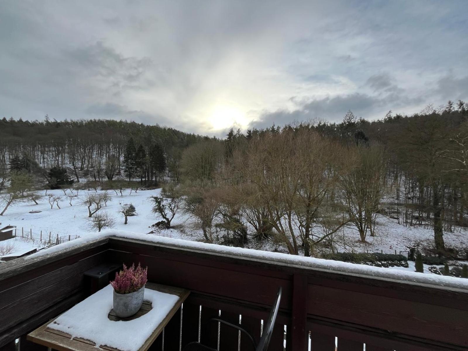 Villa Regina Bad Freienwalde Bagian luar foto