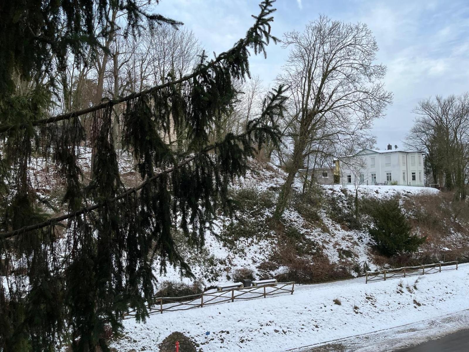Villa Regina Bad Freienwalde Bagian luar foto